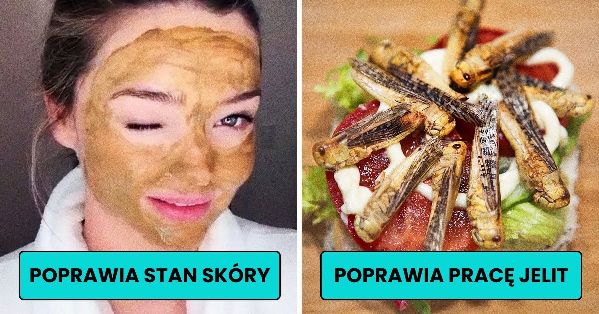 Read more about the article 12 produktów żywnościowych, które warto włączyć do swojej diety