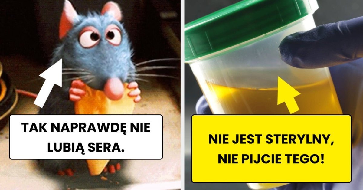 Read more about the article 17 filmów, w których przedstawione fakty w rzeczywistości są totalnymi kłamstwami