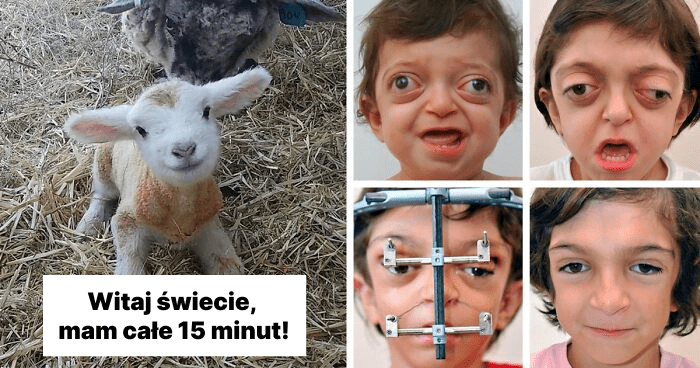 Read more about the article Te 42 zdjęcia podniosą Cię na duchu, jeśli czujesz się przygnębiony