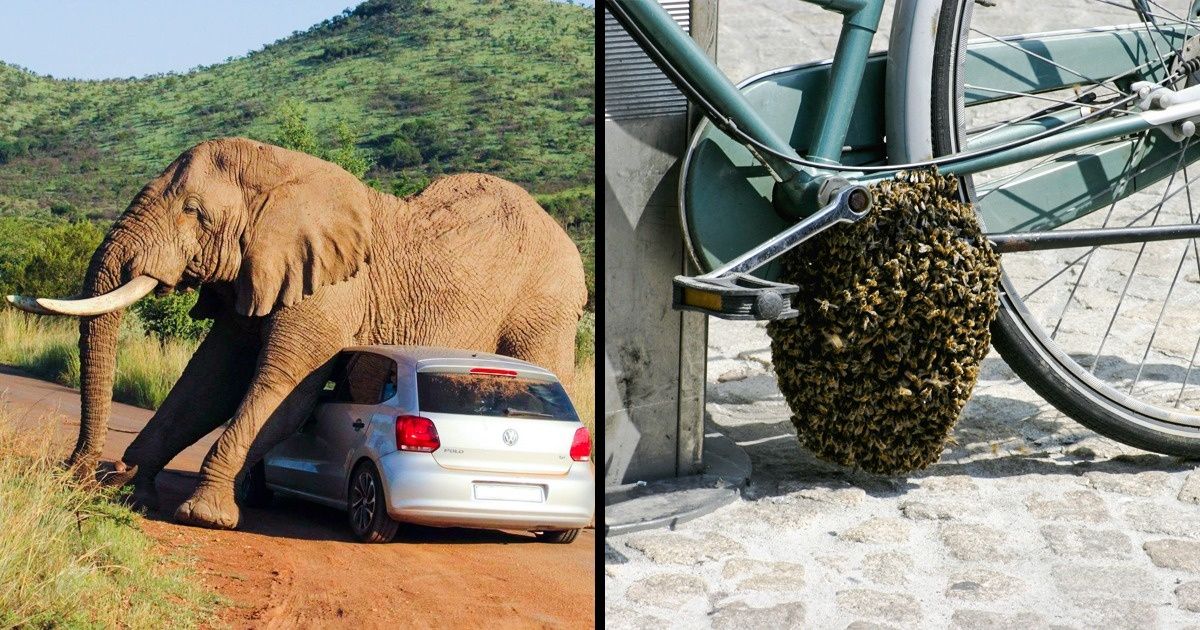 Read more about the article 19 ludzi, którzy myśleli, że będą mieli wspaniały dzień, ale życie zadecydowało inaczej