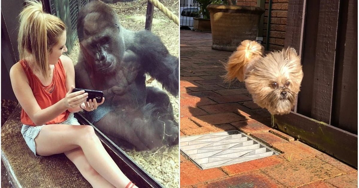 Read more about the article 13 zaskakujących ujęć, które są przykładem doskonałego wyczucia czasu